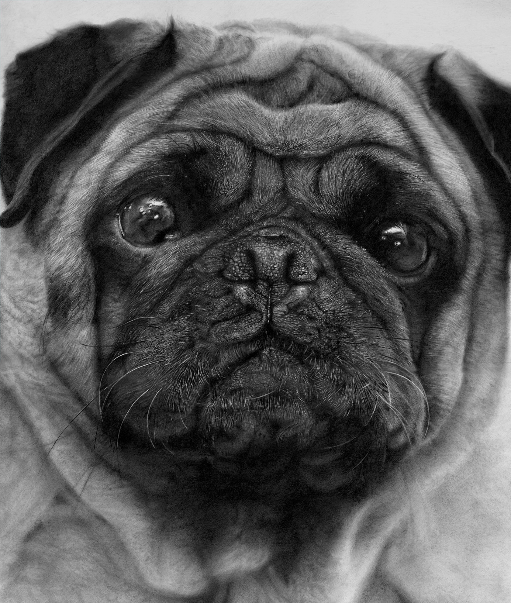 Magazine and Brochure Layout Designs