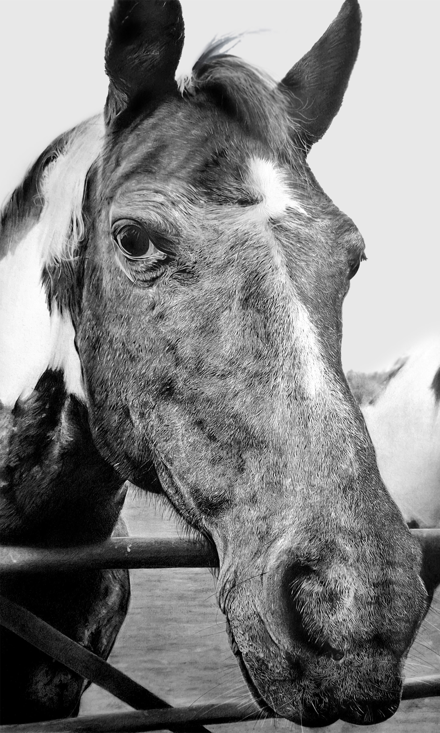 Magazine and Brochure Layout Designs